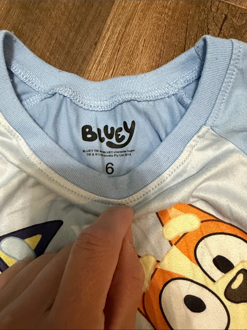 Girls Bluey 2 Piece Pajama Set Size 6 Super Soft